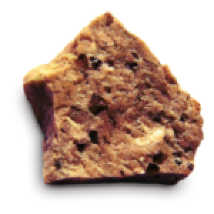 Ferrum phosphoricum (Phosphate de fer)