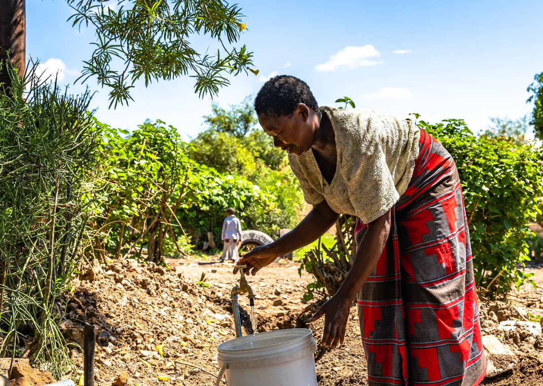 Seit 5 Jahren engagiert: Unsere Partnerschaft mit WfW  - Gemeinsam fÃ¼r einen bewussten Umgang mit Wasser
