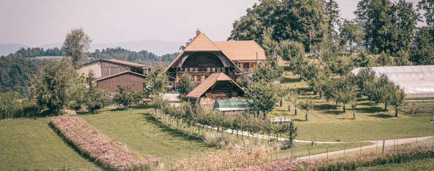 Du champ Ã  lâessentiel: la culture biologique de plantes mÃ©dicinales
